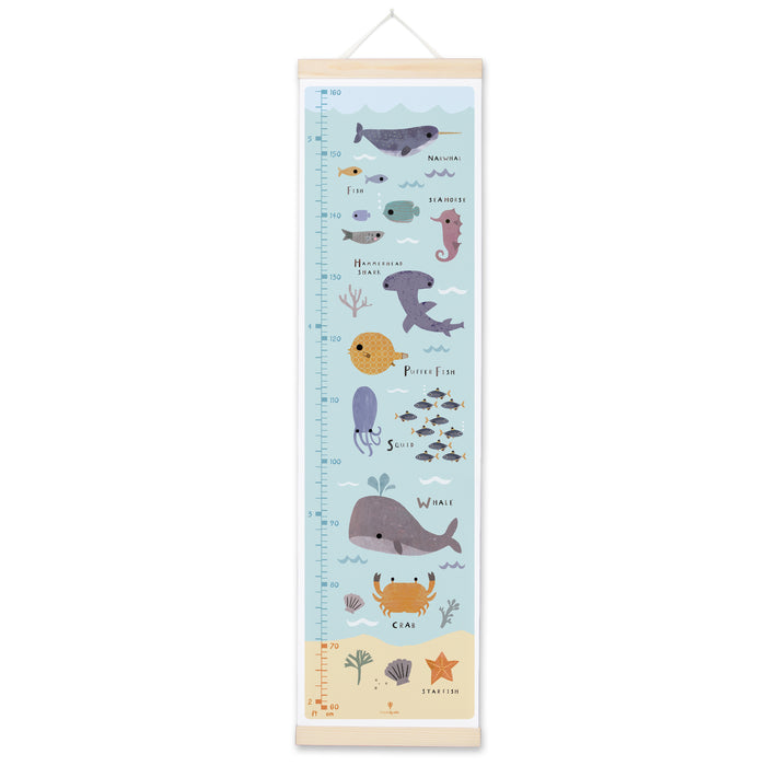 Ocean Height Chart